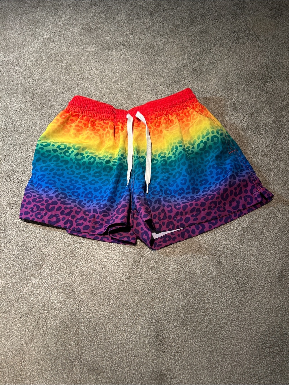 chubbies Rainbow Leopard Print Swim Trunks